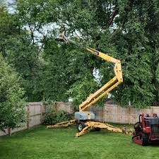 Best Utility Line Clearance  in Margate City, NJ